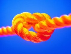 勞務(wù)派遣--全程、轉(zhuǎn)移、減員、項(xiàng)目及試用派遣